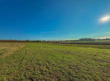 Zemljiste, Brtonigla, prodaja, 44000 €, 3925 m2