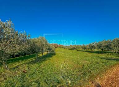 Zemljiste, Brtonigla, prodaja, 31000 €, 2453 m2