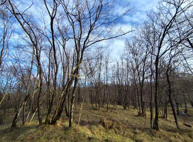 Zemljiste, Viškovo, Saršoni, prodaja, 15000 €, 1058 m2