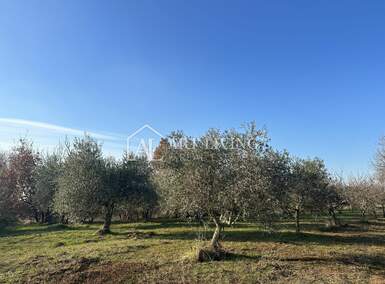 Zemljiste, Umag, prodaja, 40000 €, 1500 m2