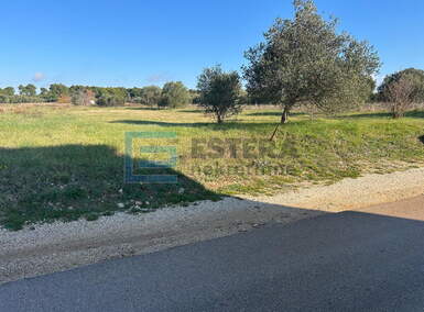 Zemljiste, Biograd na Moru, prodaja, 20000 €, 423 m2