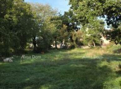 Zemljiste, Kanfanar, prodaja, 170000 €, 0 m2