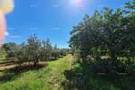 Zemljiste, Pula, prodaja, 220000 €, 0 m2