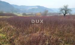 Zemljiste, Pićan, prodaja, 87000 €, 2618 m2