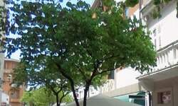 Poslovni prostor, Pula, Centar, prodaja, 255000 €, 115 m2