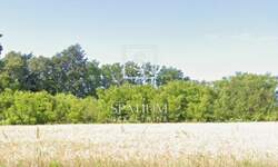 Zemljiste, Barban, prodaja, 125000 €, 742 m2