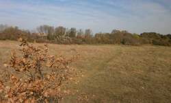 Zemljiste, Pula, Veli Vrh, prodaja, 540000 €, 0 m2