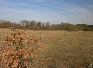 Zemljiste, Pula, Veli Vrh, prodaja, 540000 €, 0 m2