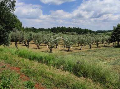 Zemljiste, Kaštelir-Labinci, Krančići, prodaja, 45000 €, 3276 m2