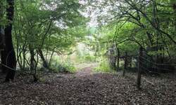 Zemljiste, Kaštelir-Labinci, Kaštelir, prodaja, 156767 €, 24118 m2