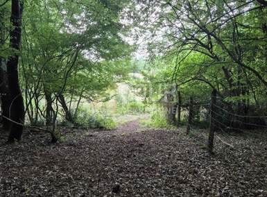 Zemljiste, Kaštelir-Labinci, Kaštelir, prodaja, 156767 €, 24118 m2