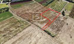 Zemljiste, Kaštelir-Labinci, Kaštelir, prodaja, 296000 €, 1019 m2