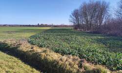 Zemljiste, Mursko Središće, prodaja, 24500 €, 1700 m2