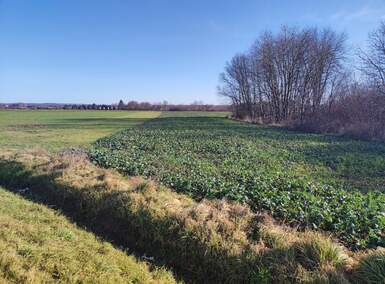 Zemljiste, Mursko Središće, prodaja, 24500 €, 1700 m2