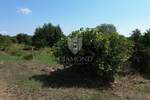 Zemljiste, Labin, prodaja, 82000 €, 1257 m2