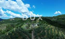 Zemljiste, Motovun, prodaja, 1550000 €, 167943 m2