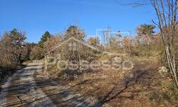 Zemljiste, Buzet, Hum, prodaja, 15000 €, 6480 m2