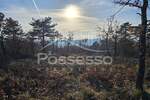 Zemljiste, Buzet, Hum, prodaja, 15000 €, 6480 m2