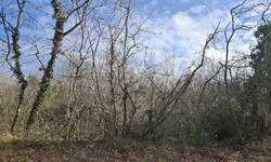 Zemljiste, Labin, prodaja, 230000 €, 3490 m2