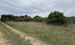 Zemljiste, Pula, PADULJ, prodaja, 181100 €, 0 m2