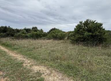 Zemljiste, Pula, PADULJ, prodaja, 181100 €, 0 m2