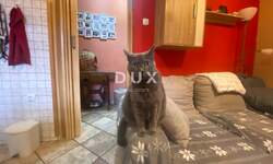 Trosoban stan, Rijeka, Kantrida, prodaja, 250000 €, 65 m2