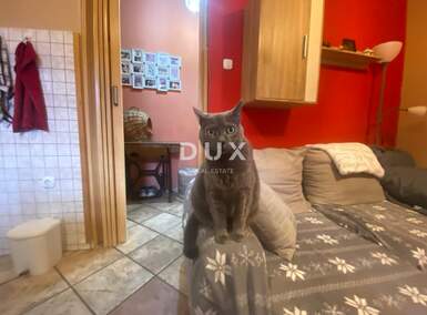 Trosoban stan, Rijeka, Kantrida, prodaja, 250000 €, 65 m2