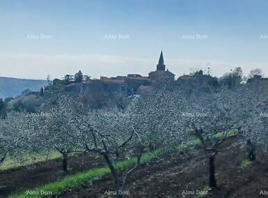 Zemljiste, Grožnjan, prodaja, 510000 €, 0 m2