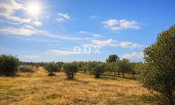 Zemljiste, Vodnjan, prodaja, 92989 €, 4074 m2