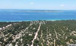 Zemljiste, Kolan, Mandre, prodaja, 2043800 €, 20438 m2