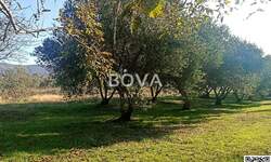 Zemljiste, Novigrad, Pridraga, prodaja, 160000 €, 2848 m2