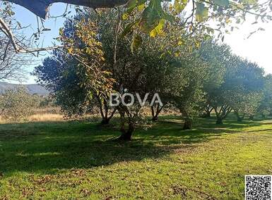 Zemljiste, Novigrad, Pridraga, prodaja, 160000 €, 2848 m2