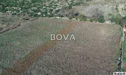 Zemljiste, Benkovac, Tinj, prodaja, 833000 €, 8500 m2