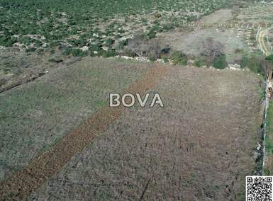 Zemljiste, Benkovac, Tinj, prodaja, 833000 €, 8500 m2