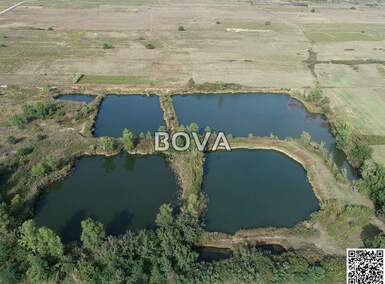 Zemljiste, Nin, Grbe, prodaja, 690000 €, 53651 m2