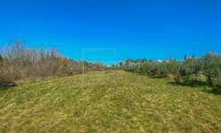 Zemljiste, Umag, prodaja, 175000 €, 1250 m2