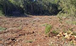 Zemljiste, Mali Lošinj, Ćunski, prodaja, 93000 €, 3600 m2