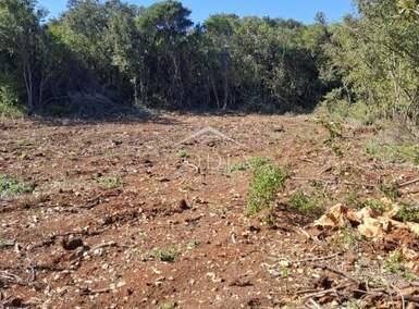 Zemljiste, Mali Lošinj, Ćunski, prodaja, 93000 €, 3600 m2
