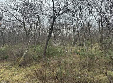 Zemljiste, Posedarje, prodaja, 121666 €, 3350 m2