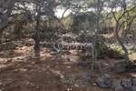 Zemljiste, Mali Lošinj, Punta Križa, prodaja, 67000 €, 1100 m2