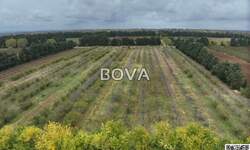 Zemljiste, Benkovac, Smilčić, prodaja, 150000 €, 20241 m2