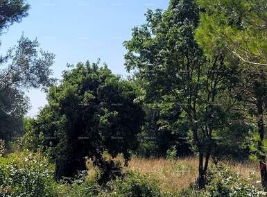 Zemljiste, Medulin, Vrčevan, prodaja, 225000 €, 0 m2