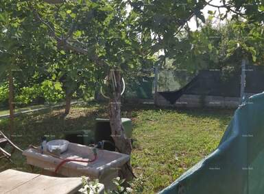 Kuca, Brtonigla, prodaja, 824000 €, 508 m2