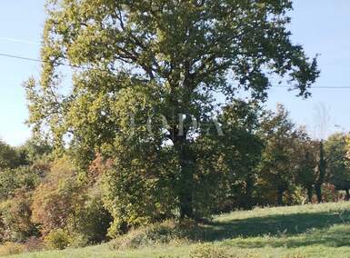 Zemljiste, Kršan, prodaja, 112900 €, 5839 m2