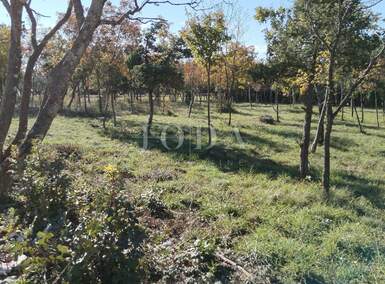 Zemljiste, Barban, prodaja, 85000 €, 1284 m2