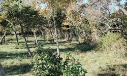 Zemljiste, Barban, prodaja, 80000 €, 1247 m2