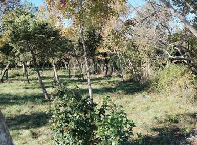 Zemljiste, Barban, prodaja, 80000 €, 1247 m2