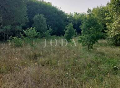 Zemljiste, Raša, Kunj, prodaja, 29990 €, 5661 m2