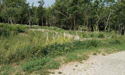 Zemljiste, Labin, prodaja, 208000 €, 1506 m2