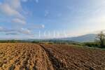 Zemljiste, Buzet, prodaja, 280125 €, 3848 m2